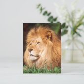 Volwassenmannetje Lion Briefkaart (Staand voorkant)