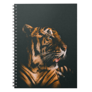 VOLWASSENTIGER PRONE LYING INSIDE DIM LIGHTED ROOM NOTITIEBOEK