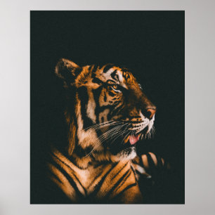 VOLWASSENTIGER PRONE LYING INSIDE DIM LIGHTED ROOM POSTER