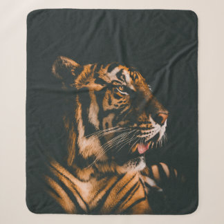 VOLWASSENTIGER PRONE LYING INSIDE DIM LIGHTED ROOM SHERPA DEKEN