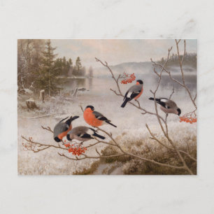 Von Wright in winterlandschap CC0821 Briefkaart
