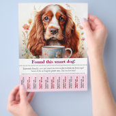 Vond een Engelse Cocker Spaniel scheur uit flyer (Hand)