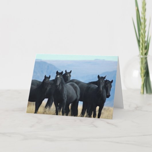 Voodoo Band-Wenskaart Kaart (Voorkant)