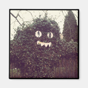 Voodoo-Struik Magneet