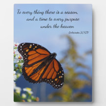 Voor alles is er een reden