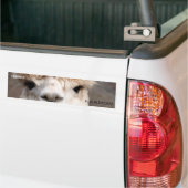 VOOR ALPACAS BRAKE. BUMPERSTICKER (Op Truck)