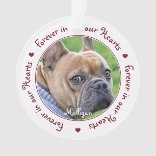 Voor altijd in ons hart Foto Keepslag Pet Memorial Ornament