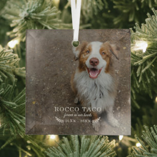 Voor altijd in ons hart Foto van Pet Memorial Glas Ornament