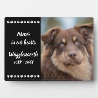 Voor Altijd In Onze Hart Hond Dier Foto Herinnerin Fotoplaat