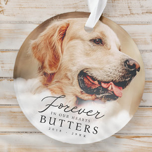 Voor altijd in onze harten Pet Memorial Moderne fo Ornament