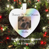 Voor altijd in onze harten Pet Rainbow Bridge Ornament