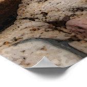 Voor altijd mijn hart poster (Hoek)