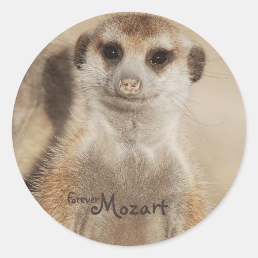 Voor altijd Mozart! Stickers (Voorkant)