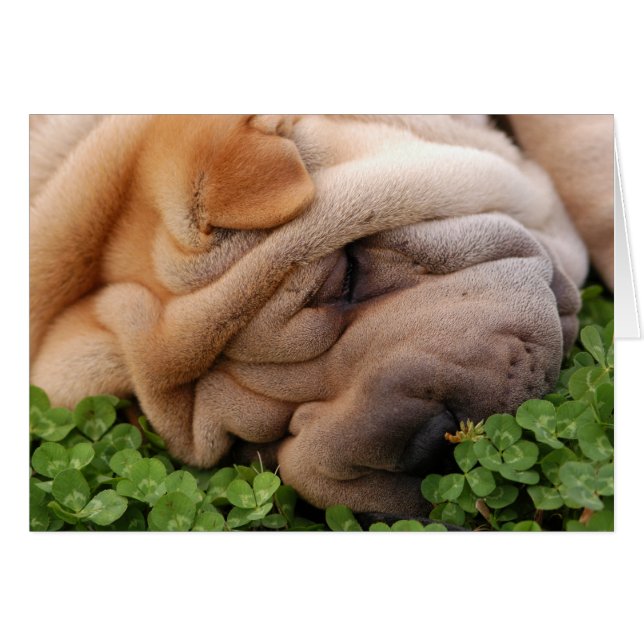 Voor altijd rond je hart (Voorkant Horizontaal)