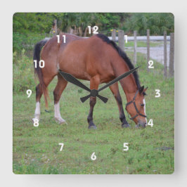 voor de beweiding van bruine en witte paarden ronde klok