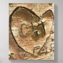 Voor de liefde van bomen Foto Tegel