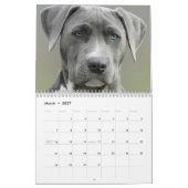 Voor de liefde van de Aangepaste Fotokalender van  Kalender (Mar 2027)