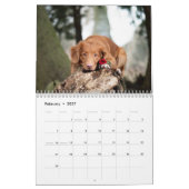 Voor de liefde van de Aangepaste Fotokalender van  Kalender (Feb 2027)