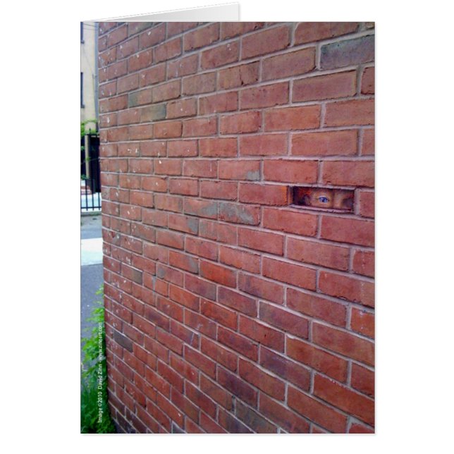 voor de liefde van god , montresor ! (Voorkant)