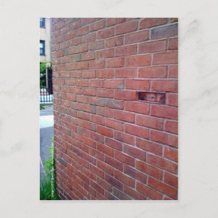 voor de liefde van god , montresor ! briefkaart