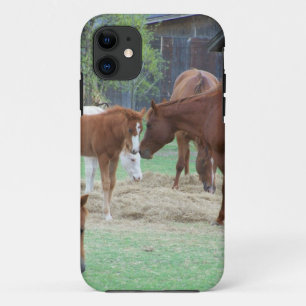 Voor de liefde van paarden iPhone 11 hoesje