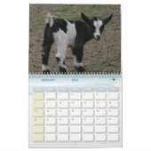 Voor de liefhebbers van geitenvlees kalender (Feb 2026)