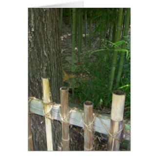 voor de lol wordt een sneaky - eekhoorn betrapt