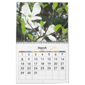 voor Donna Kalender (Mar 2026)