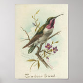 Voor een goede vriend, Hummingbird Poster (Voorkant)