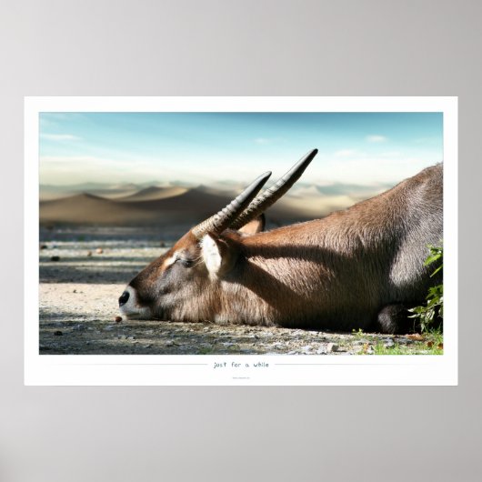 voor een tijdje poster (Voorkant)