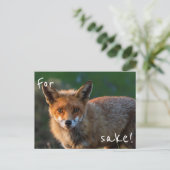 Voor Fox Sake Briefkaart (Staand voorkant)