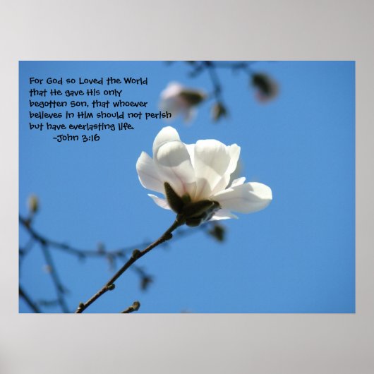 Voor God.. ...hield van de wereld John 3:16 kunst  Poster (Voorkant)