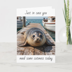 Voor het geval je vandaag wat schattigheid nodig h kaart