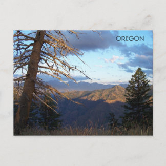 Voor het Hotter is dan... Briefkaart