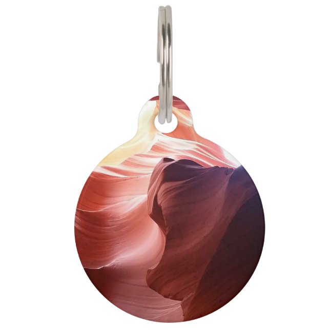 Voor het Pet Huisdierpenning (Voorkant)