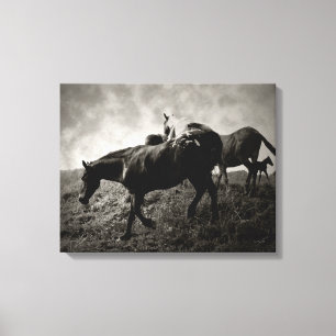 Vóór het Storm Wrapped Canvas Afdruk