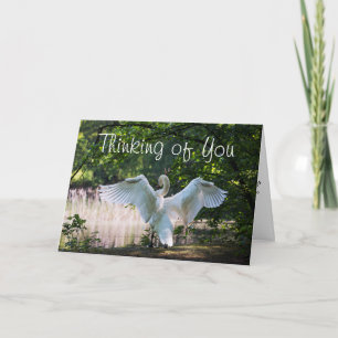 Voor iemand die de EindKaart is Kaart