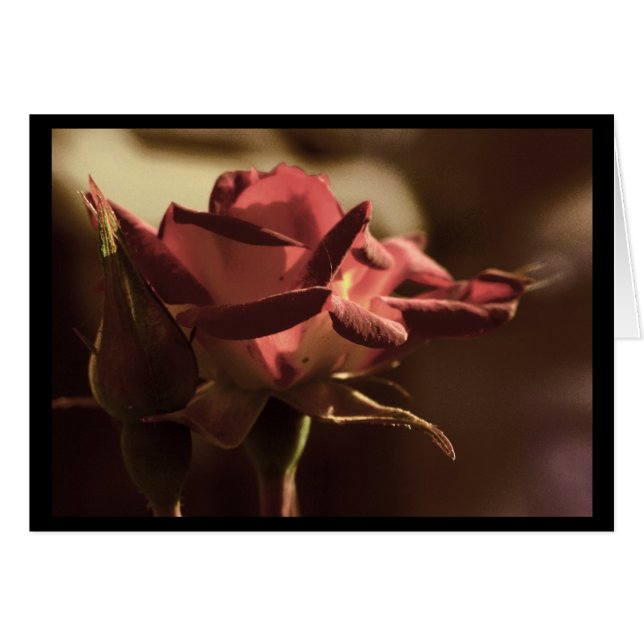 Voor jou (Voorkant Horizontaal)