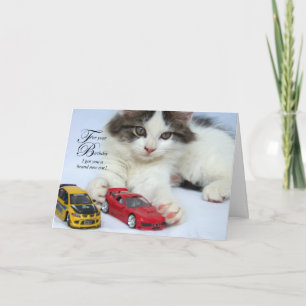 Voor Kaarten Uw van de Verjaardag (Kat)