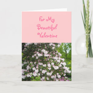 Voor mijn mooie Valentijn Feestdagen Kaart