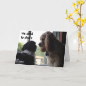 VOOR ONZE GEDEELDE VERJAARDAGS-PUPS IN EEN RAAM KAART (Gele Bloem)