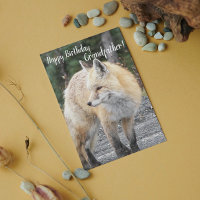 Voor opa Red Fox Foto van Birthday