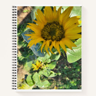 Voor schetsen, tekenen, journaling notitieboek