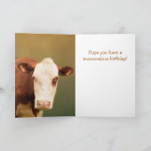 Voor Son Funny Koe Happy Birthday Kaart (Binnen)
