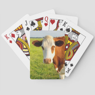 Vooraanzicht Friesian koe Pokerkaarten