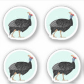 Voorbeeld van parelhoenders sticker (Voorkant)