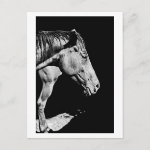 voorbeen van het paard briefkaart
