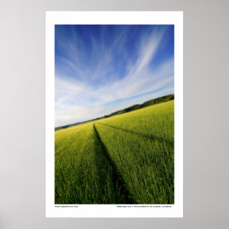 Voorbereiding Poster