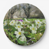 Voorbode van Spring Paper Bord (Voorkant)