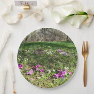 Voorbode van Spring Paper Bord